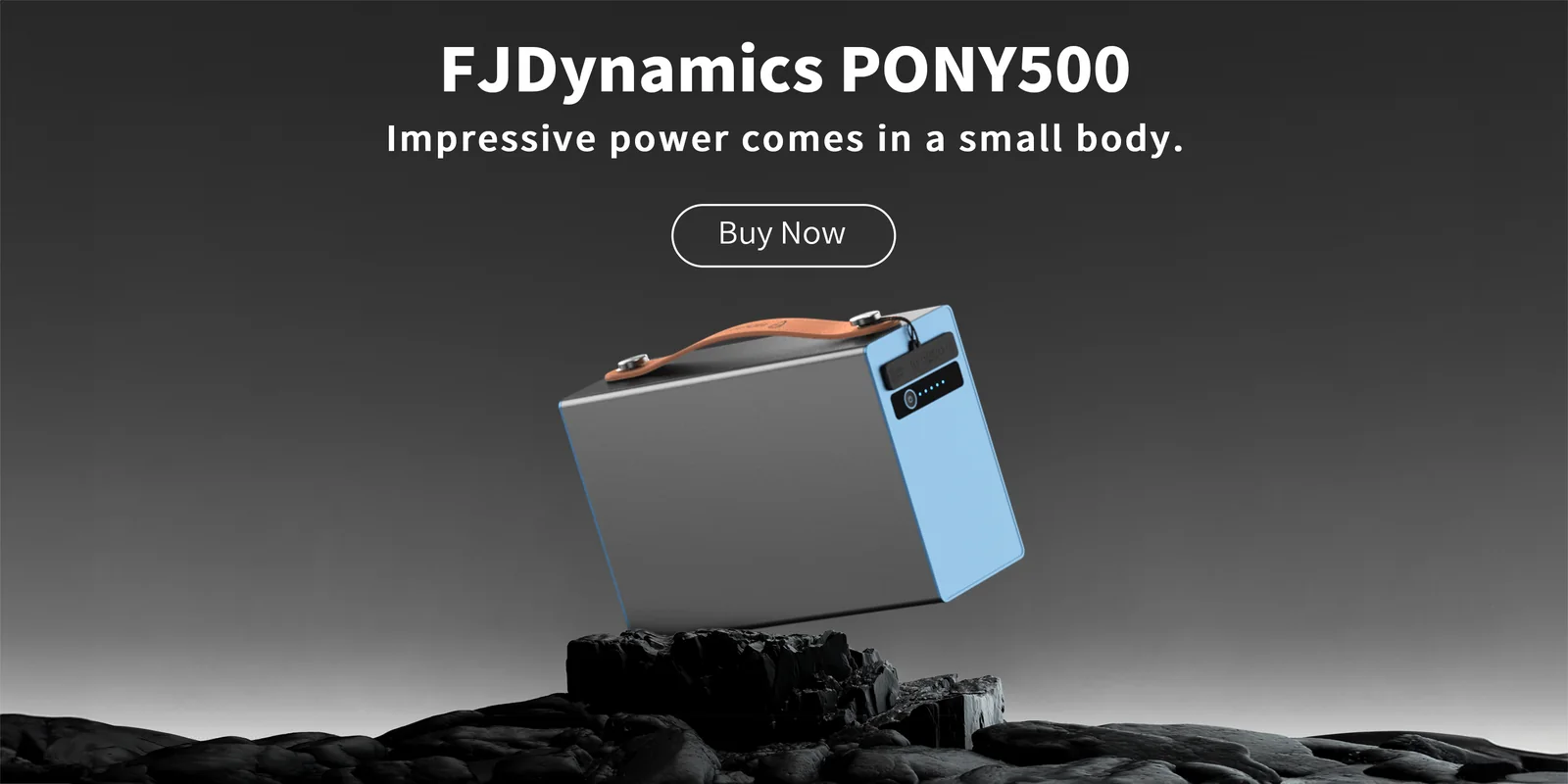 FJD PONY 500 Banner 05 · JPG